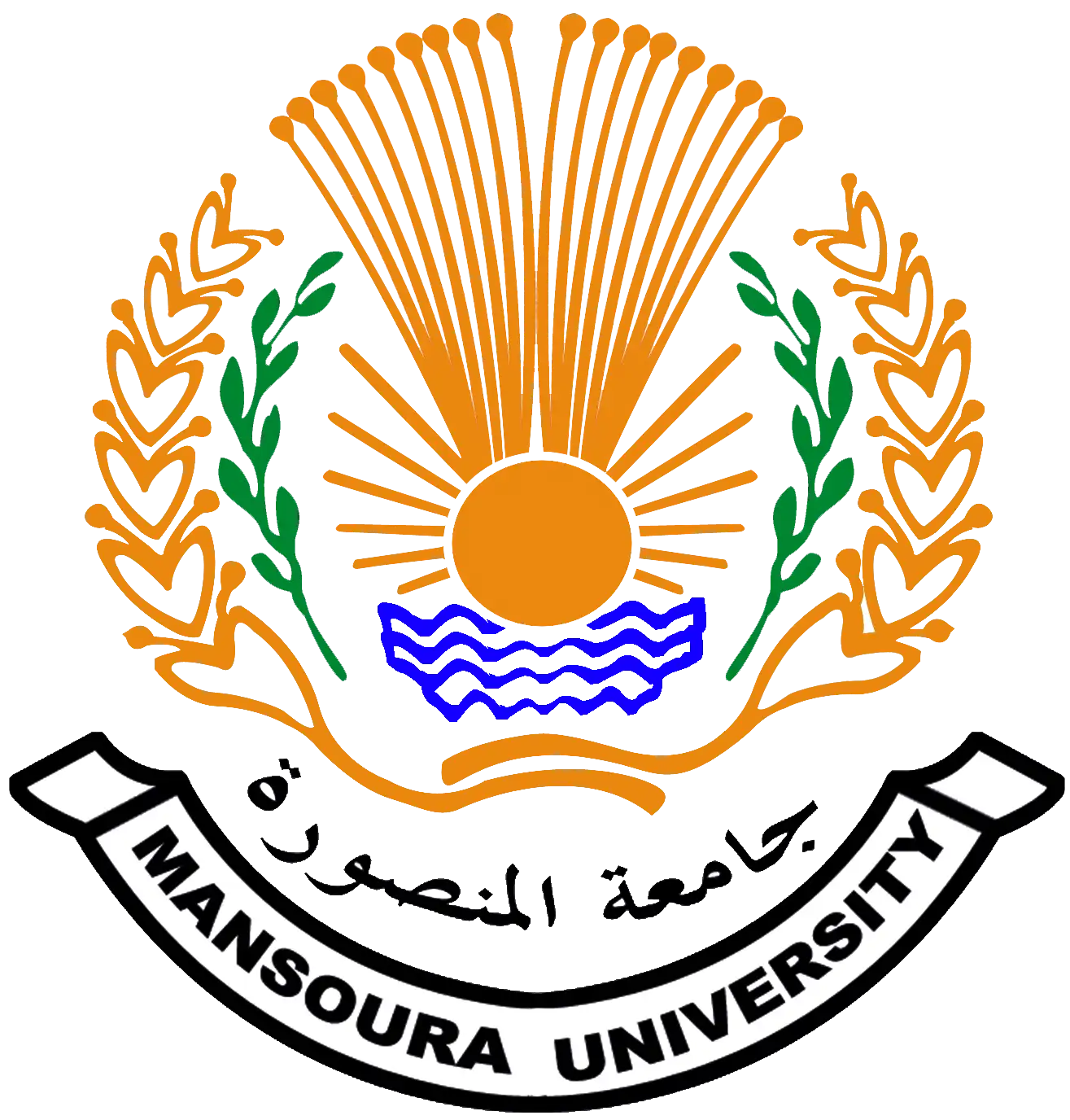 Mansoura University, Egypt